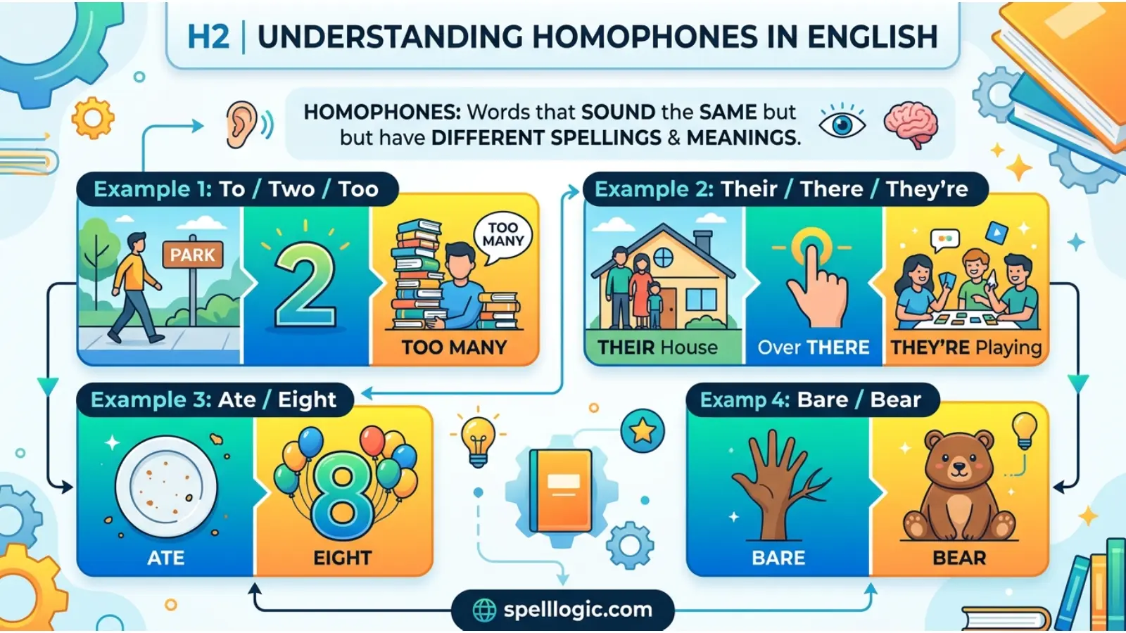 Understanding Homophones in English