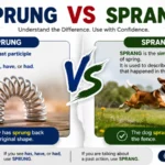 sprung vs sprang