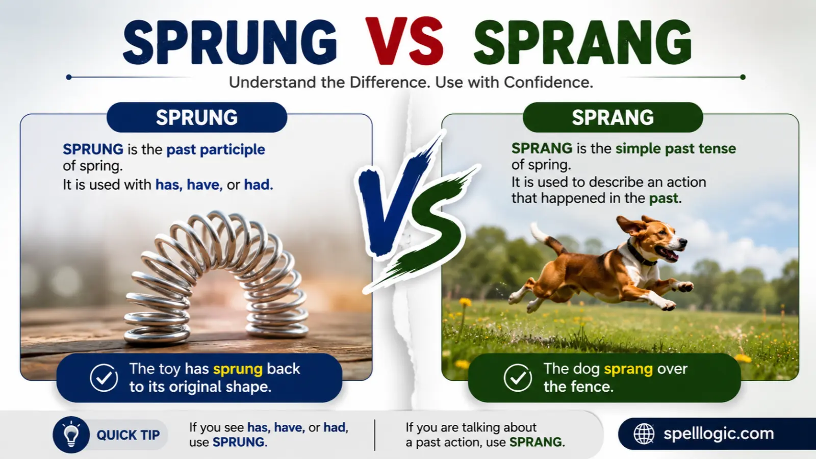 sprung vs sprang
