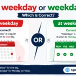 weekday or weekdays