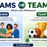teams or team's