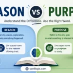 reason vs purpose