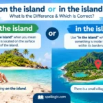 on the island or in the island